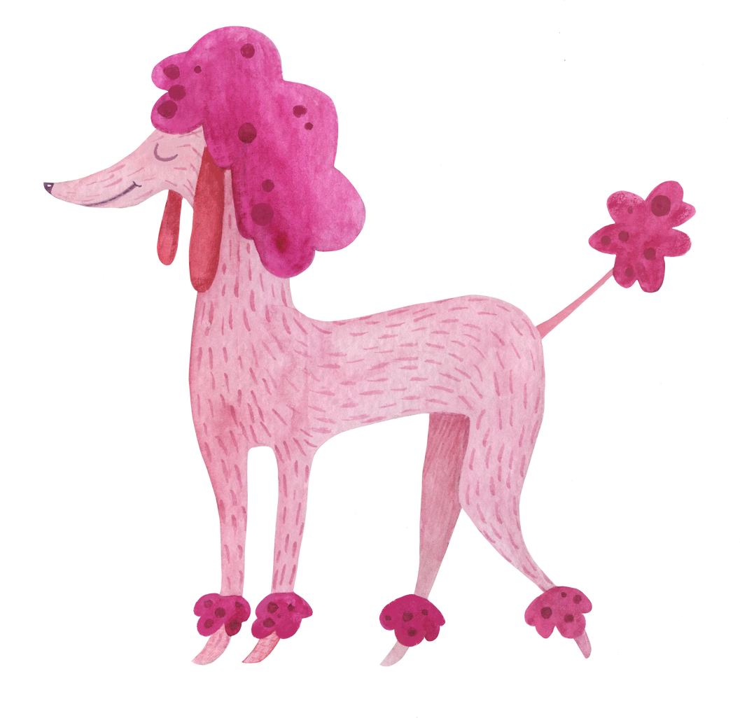 Cute pink poodle girlish dog